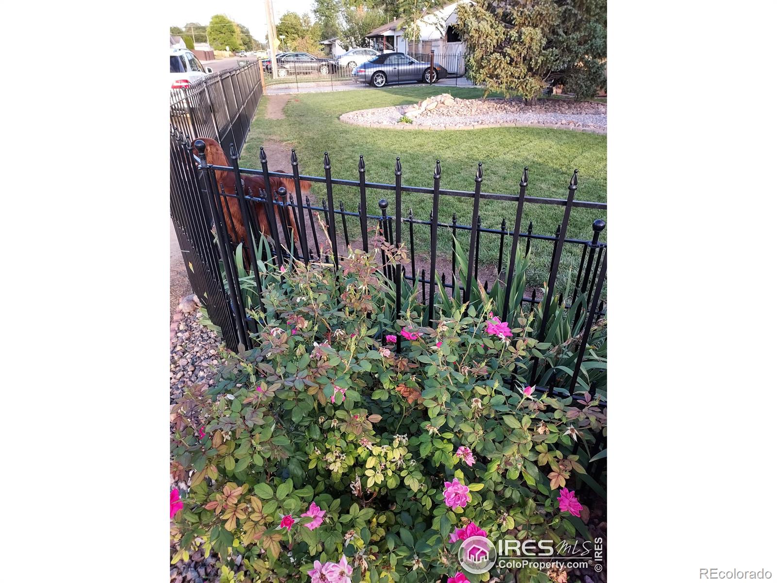 MLS Image #6 for 435  logan street,sterling, Colorado