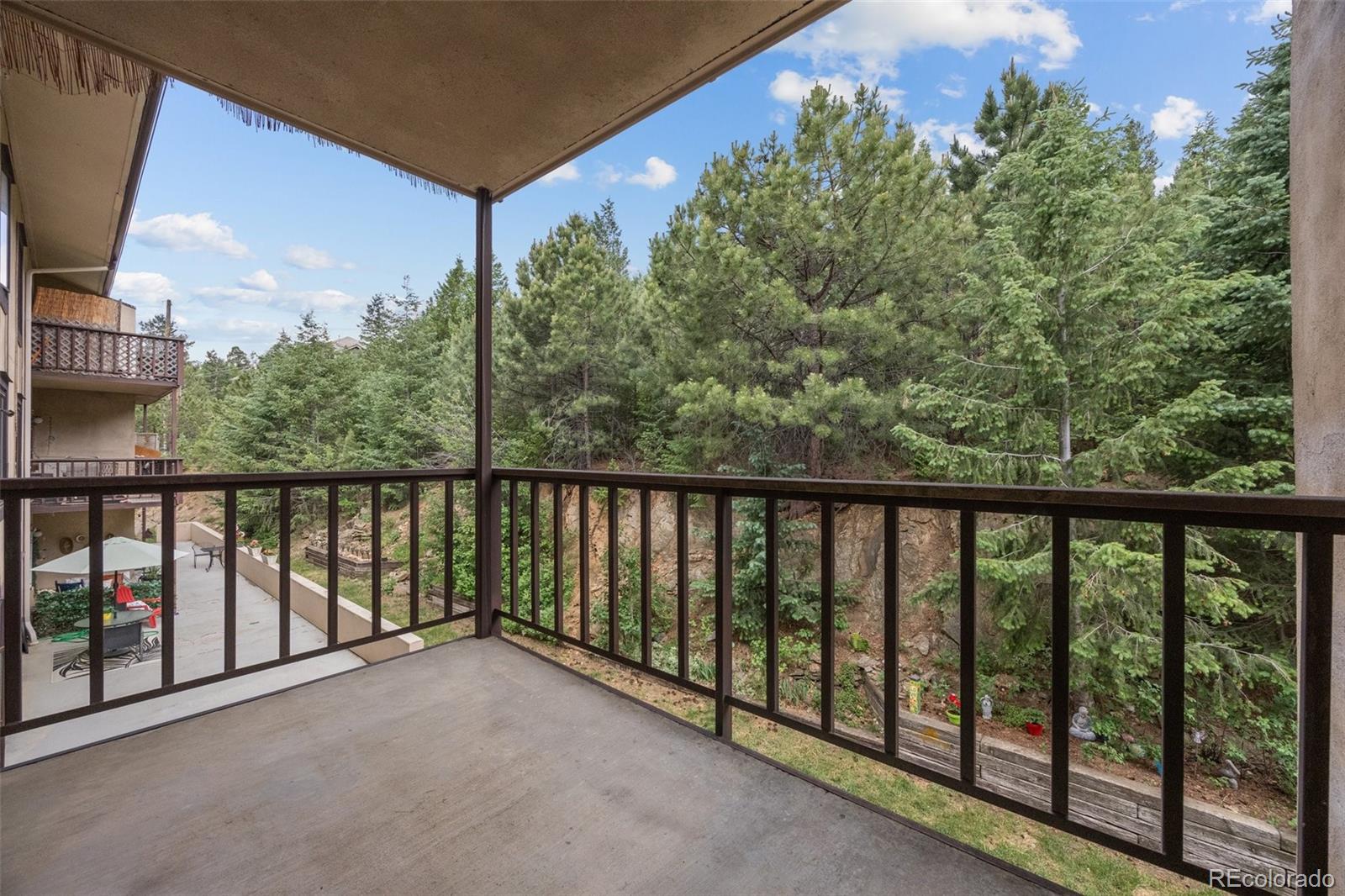 MLS Image #11 for 31270  john wallace road,evergreen, Colorado