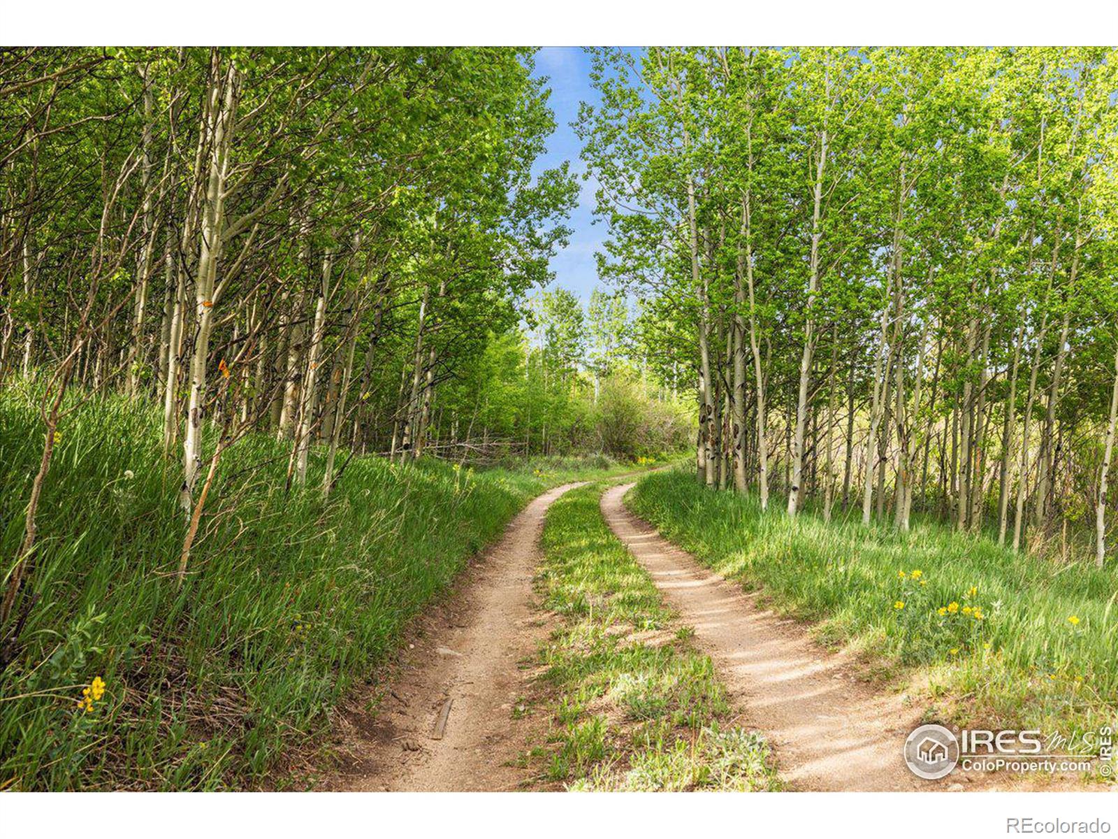 MLS Image #28 for 1570  lump gulch road,black hawk, Colorado