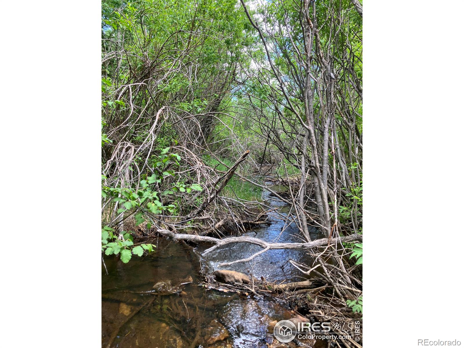 MLS Image #33 for 1570  lump gulch road,black hawk, Colorado