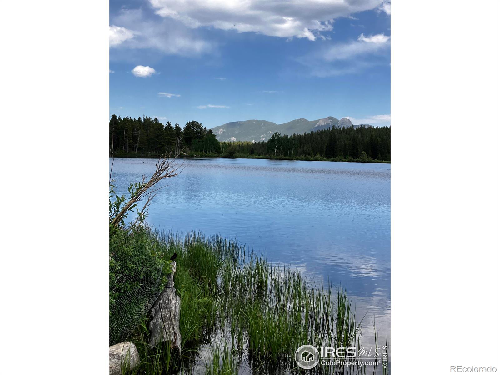 MLS Image #34 for 1570  lump gulch road,black hawk, Colorado