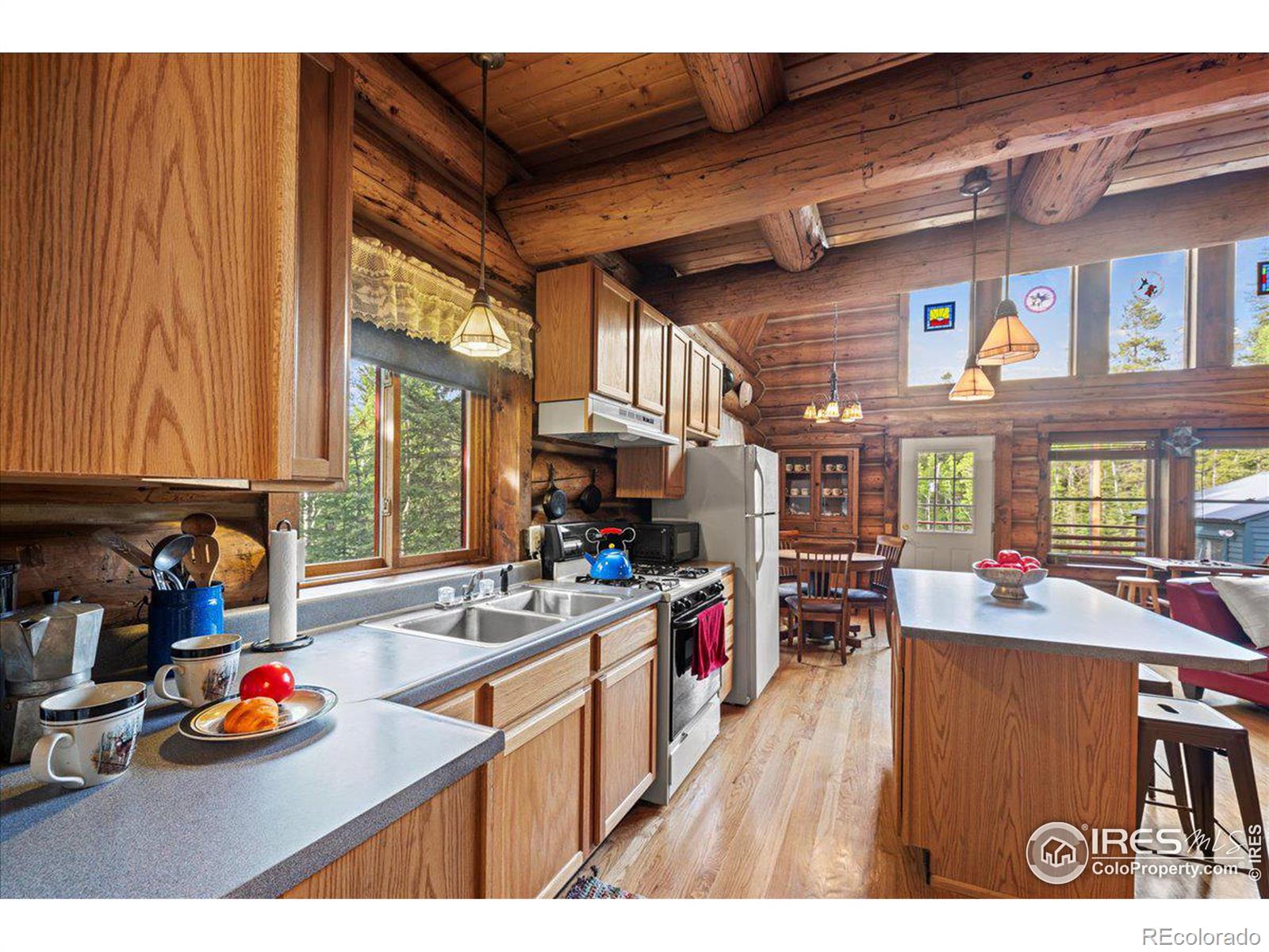 MLS Image #6 for 1570  lump gulch road,black hawk, Colorado