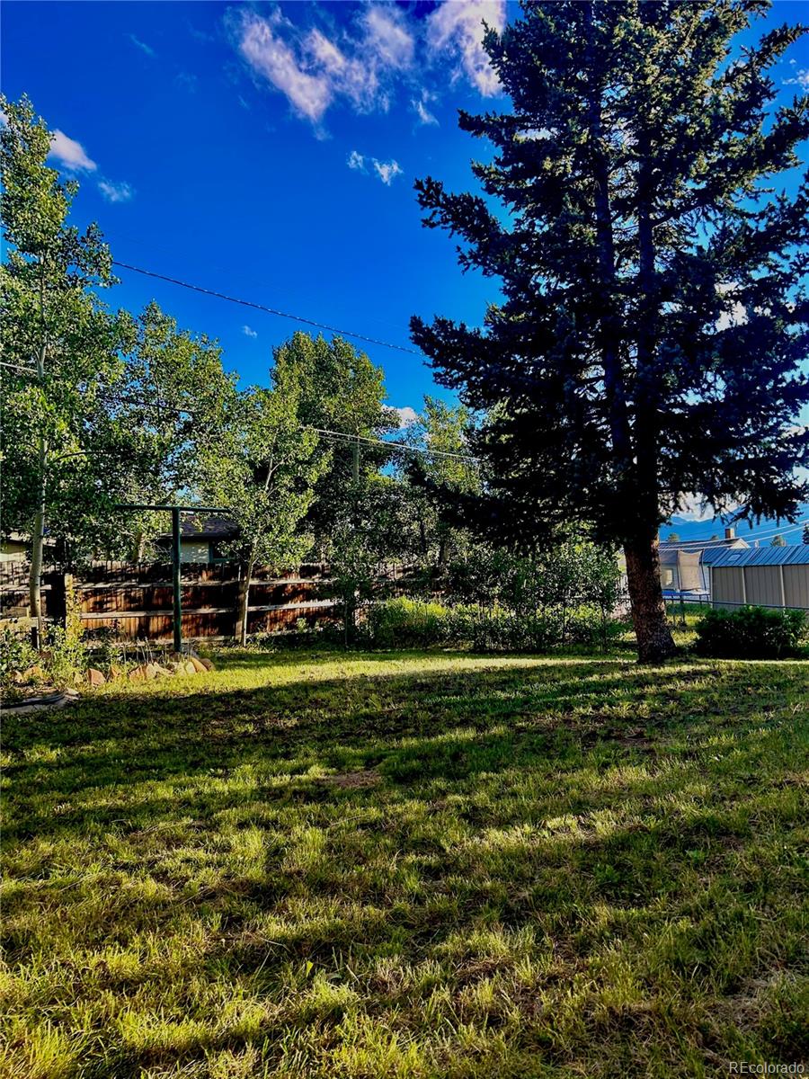 MLS Image #14 for 304  mount oxford drive,leadville, Colorado