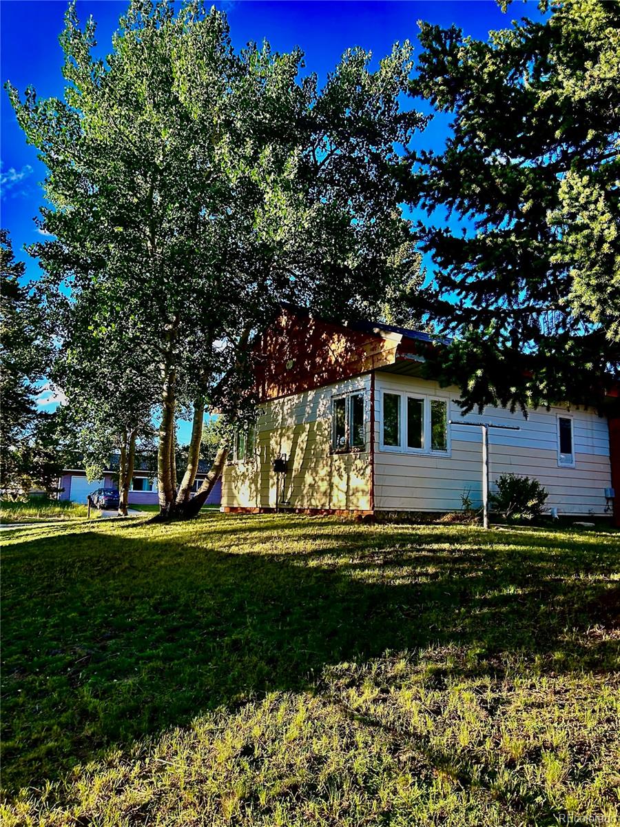 MLS Image #15 for 304  mount oxford drive,leadville, Colorado