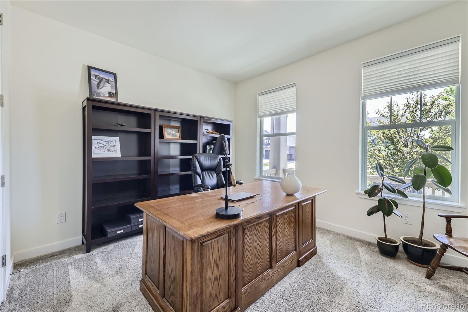 MLS Image #19 for 2410  tyrrhenian circle,longmont, Colorado