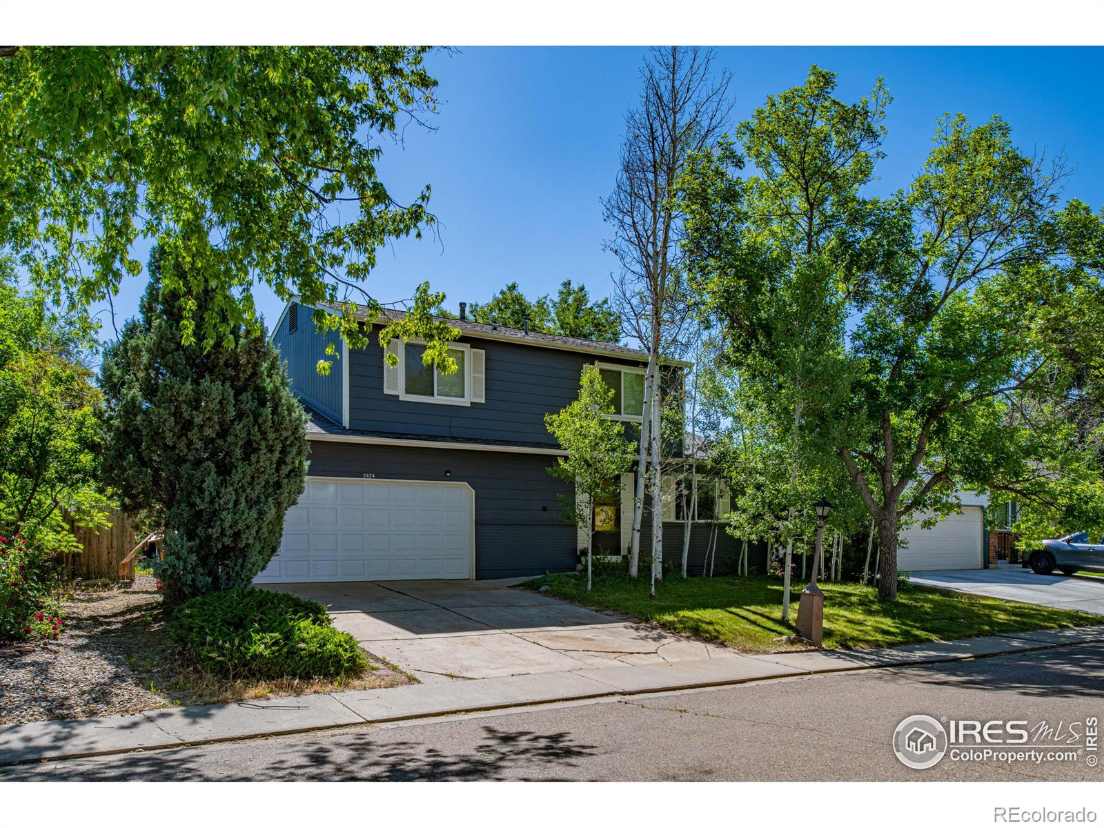 MLS Image #2 for 2424  tulip street,longmont, Colorado