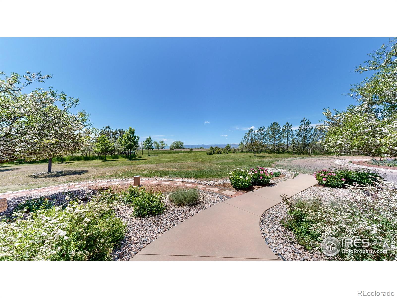 MLS Image #30 for 343 w county road 66e ,fort collins, Colorado