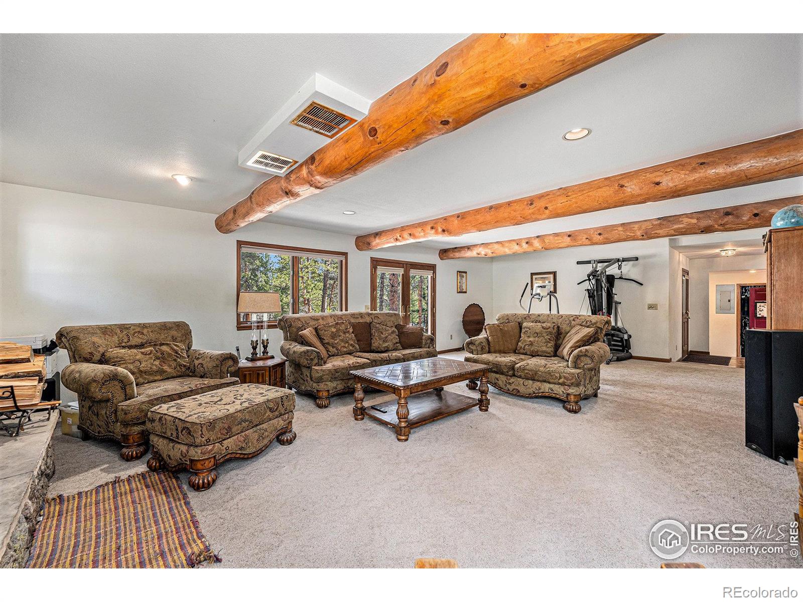 MLS Image #10 for 128  norske trail,allenspark, Colorado