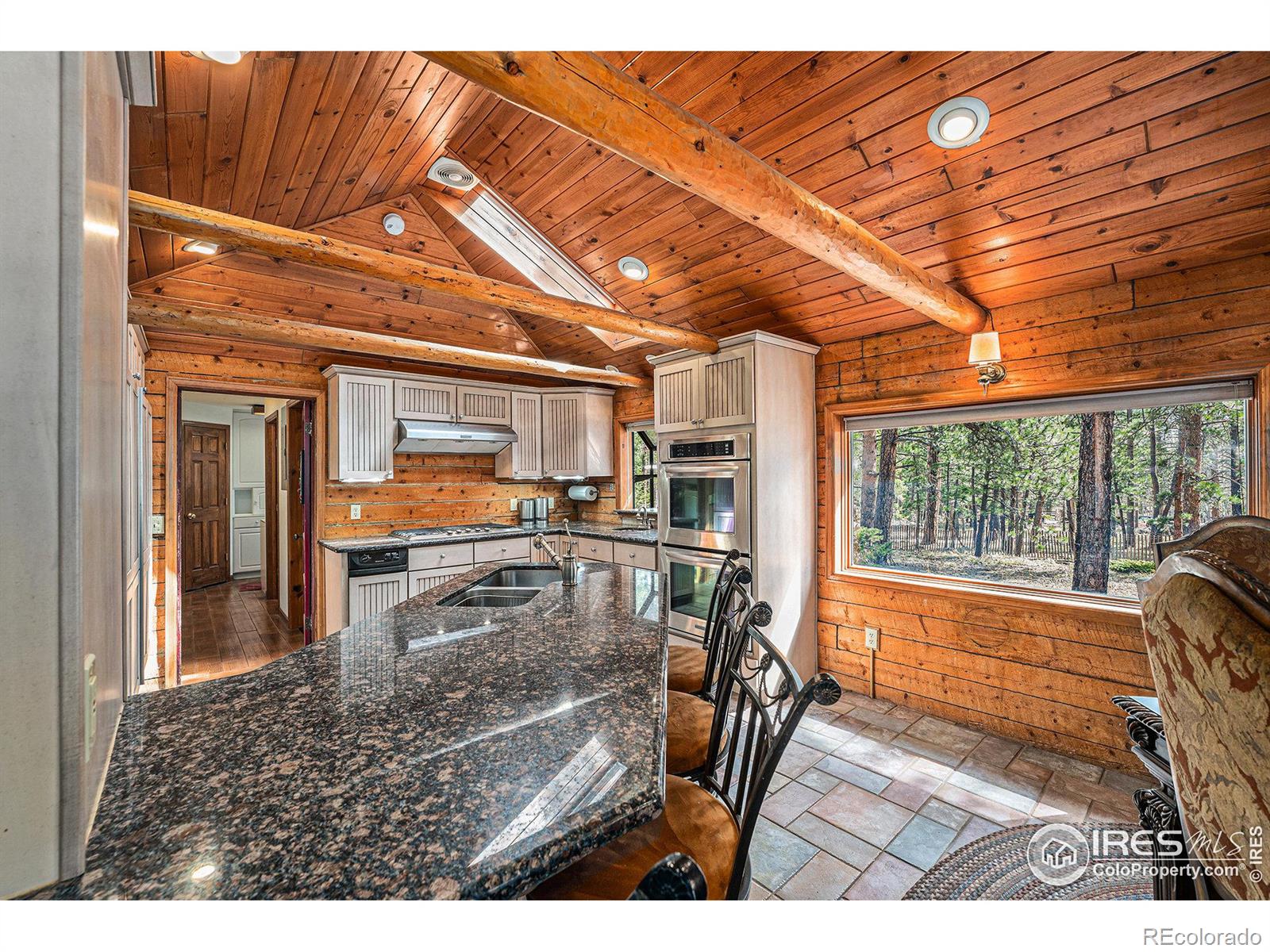 MLS Image #16 for 128  norske trail,allenspark, Colorado