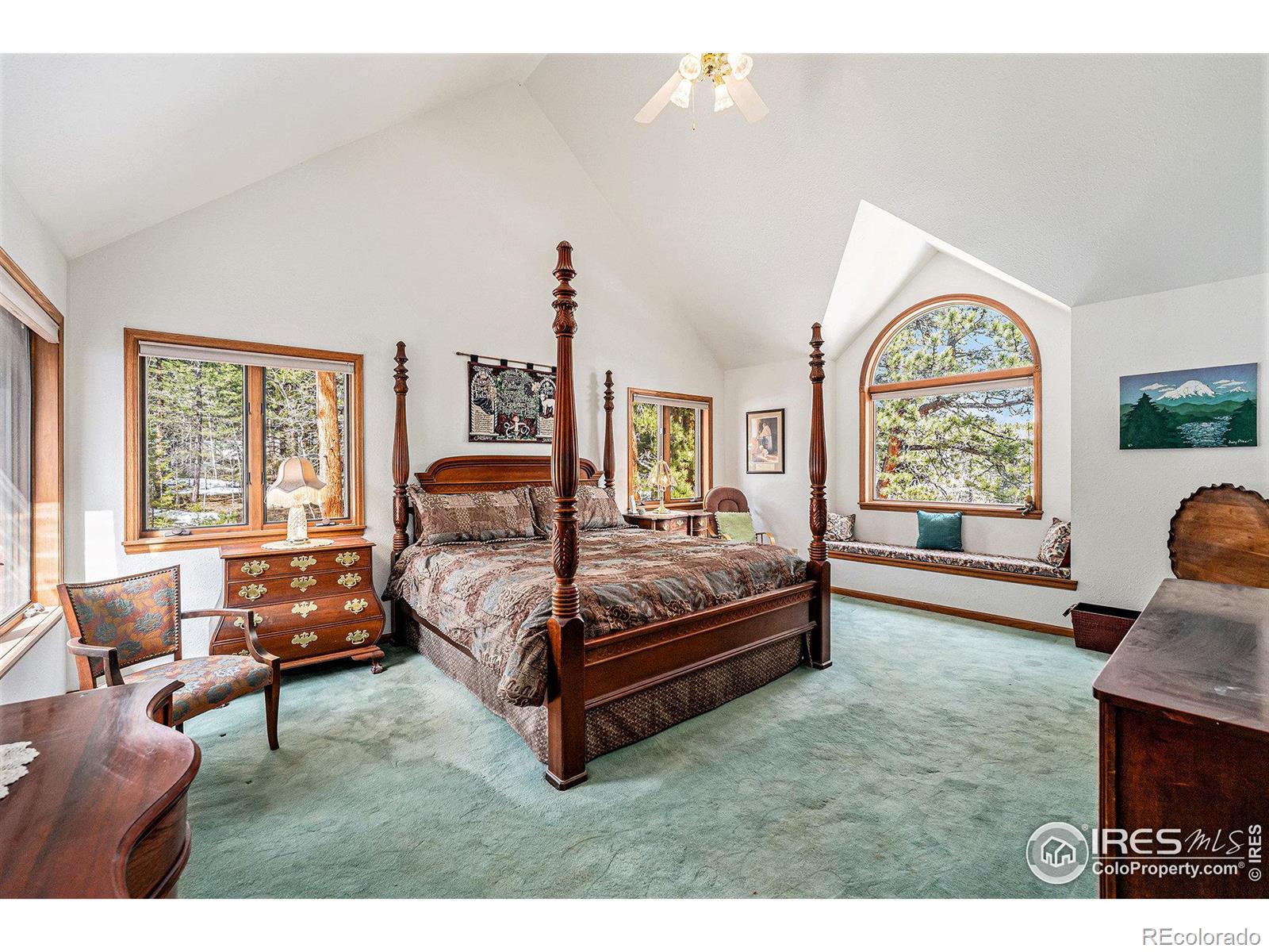 MLS Image #21 for 128  norske trail,allenspark, Colorado