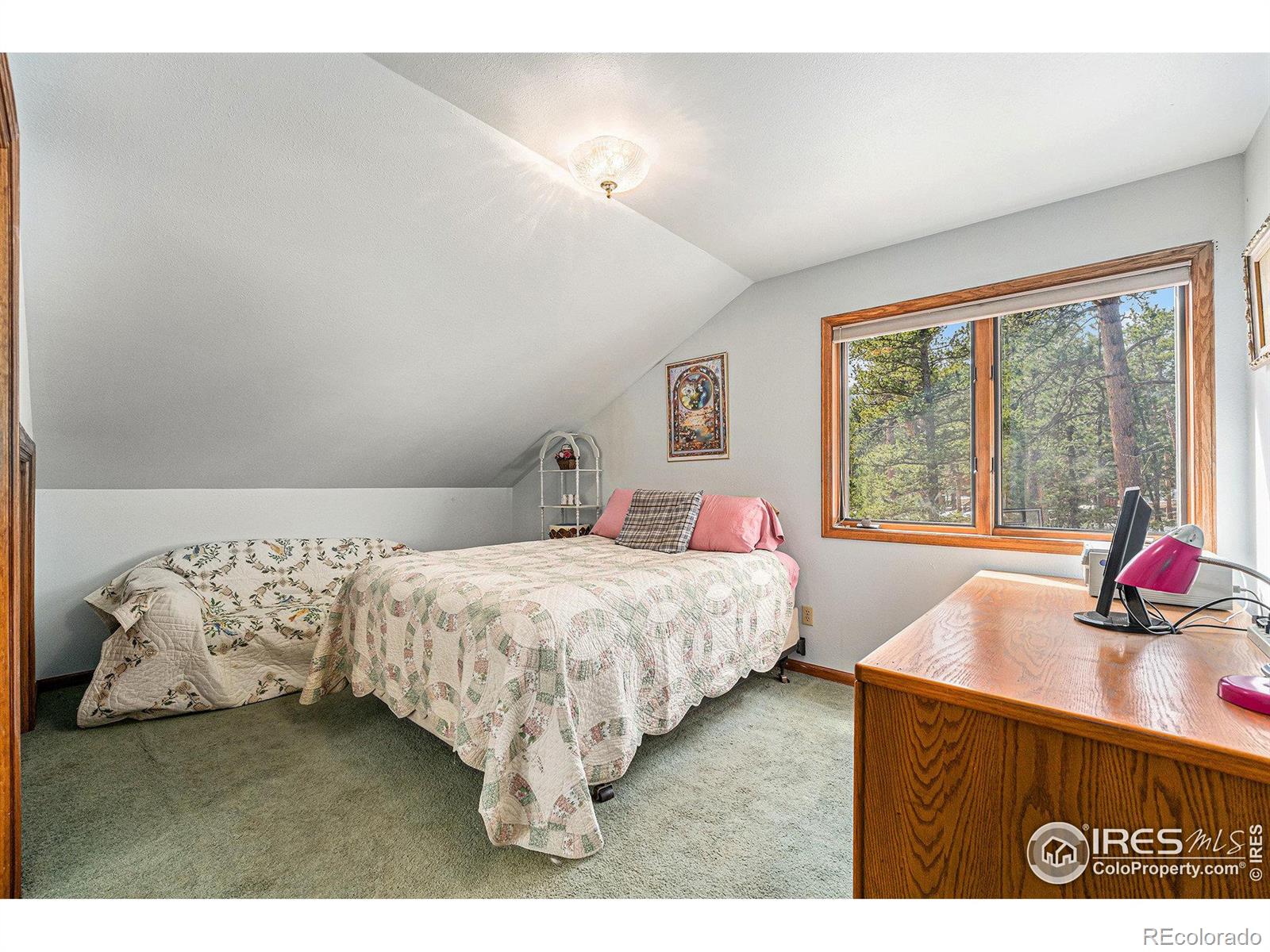 MLS Image #25 for 128  norske trail,allenspark, Colorado