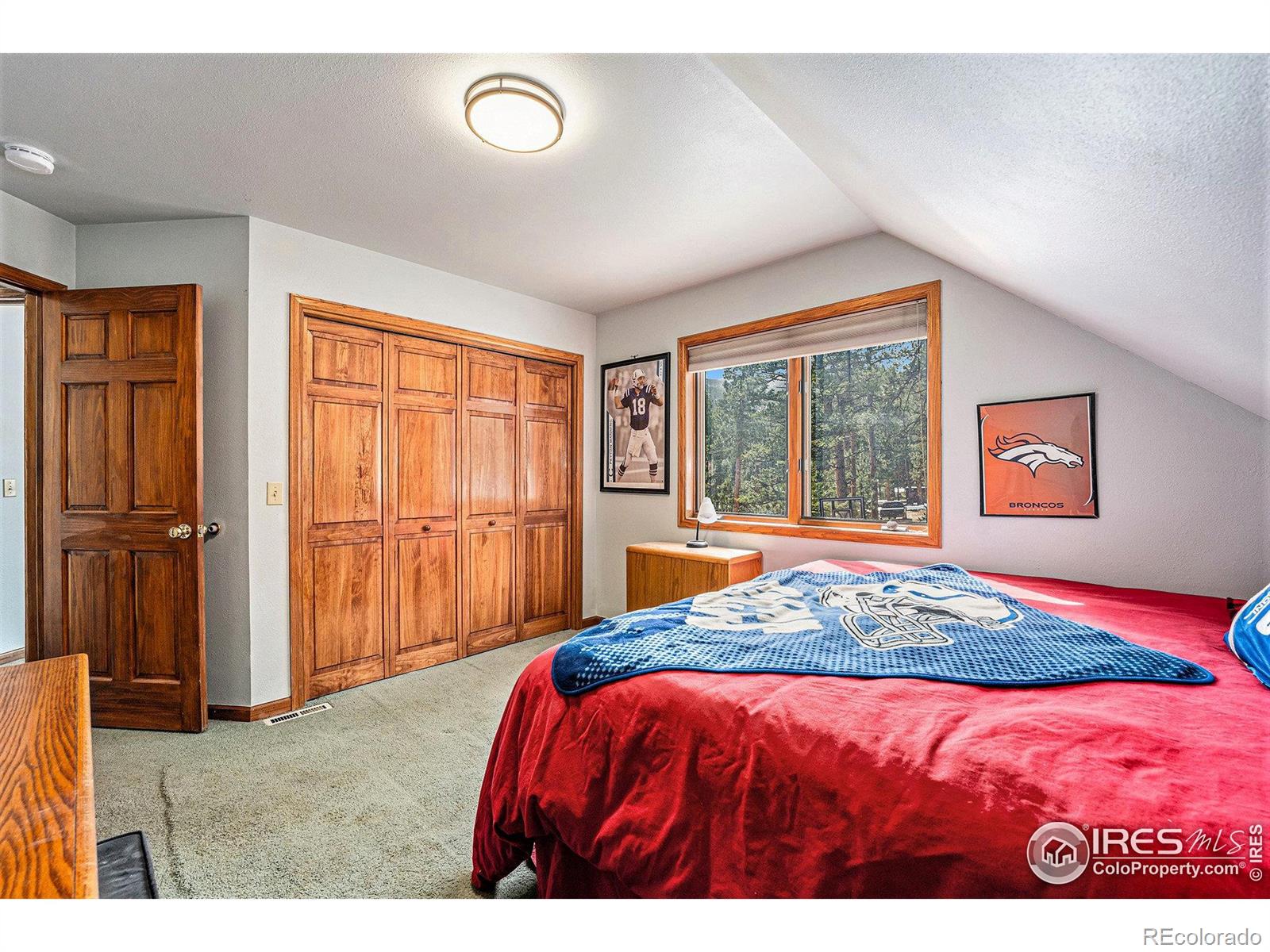 MLS Image #29 for 128  norske trail,allenspark, Colorado