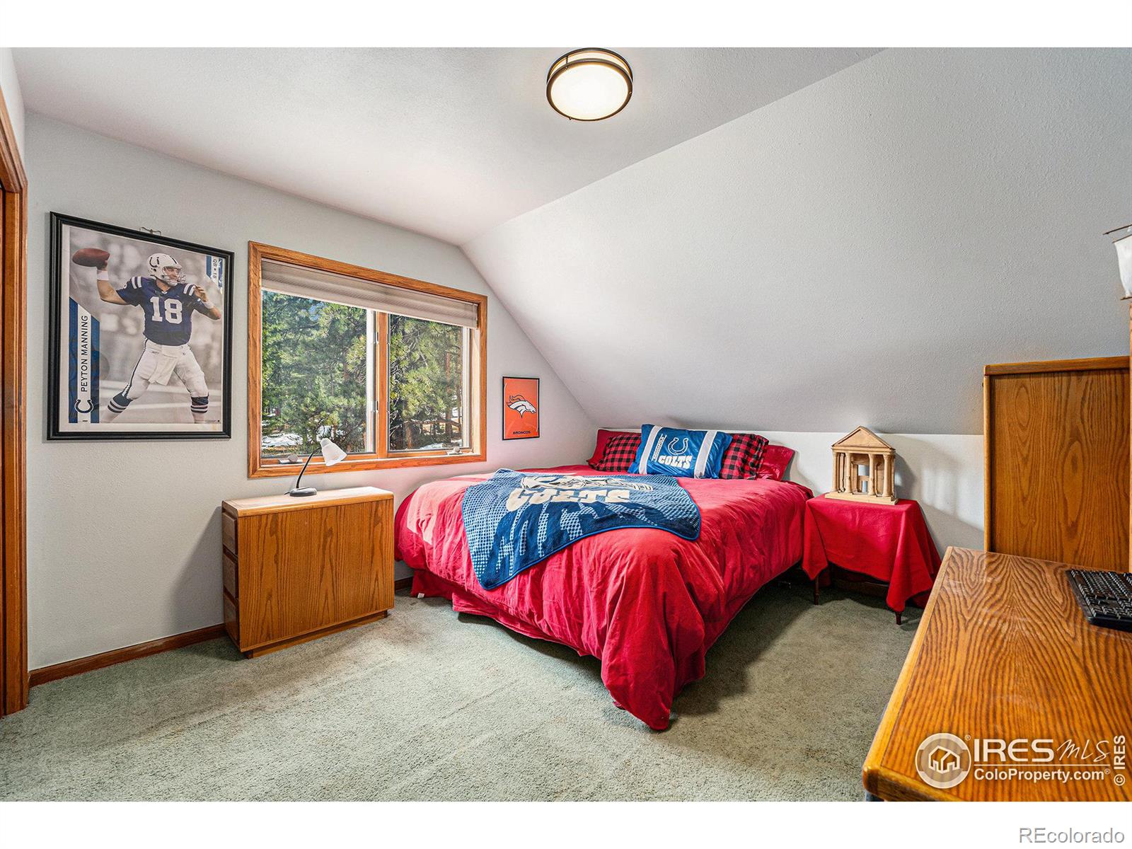 MLS Image #30 for 128  norske trail,allenspark, Colorado