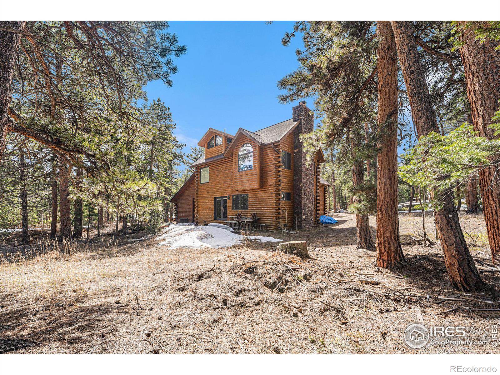 MLS Image #32 for 128  norske trail,allenspark, Colorado