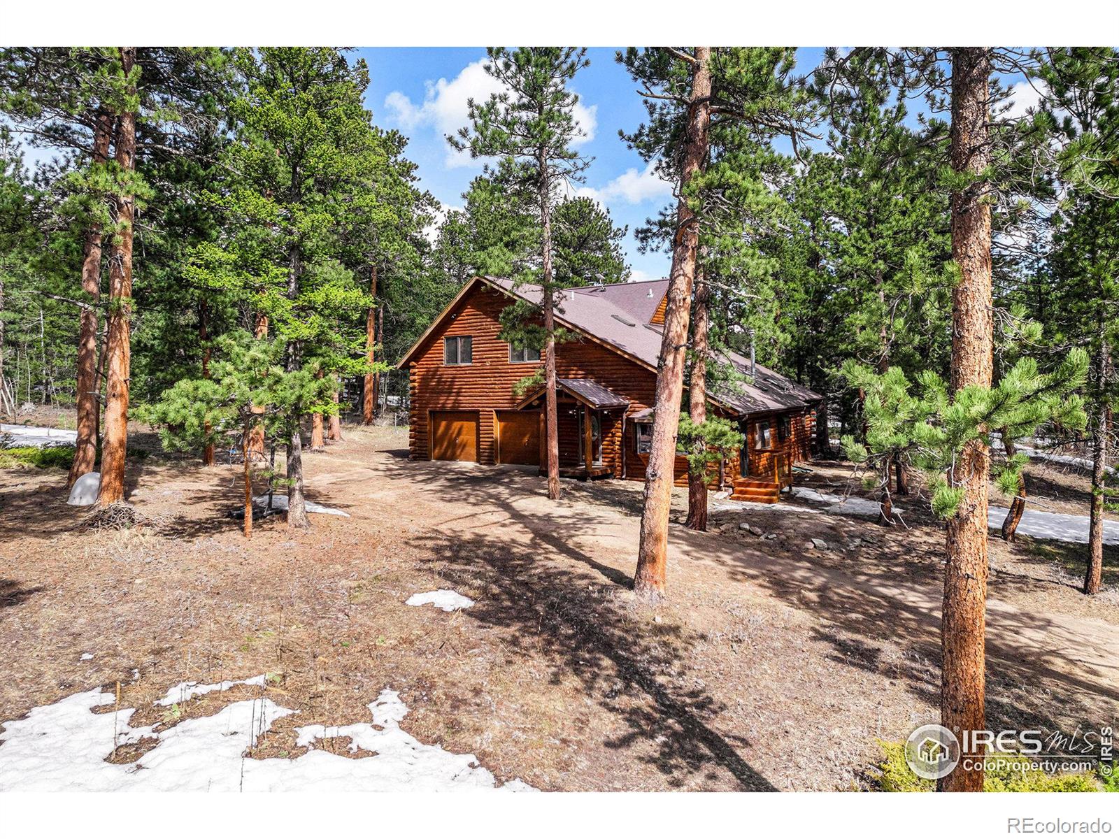 MLS Image #4 for 128  norske trail,allenspark, Colorado