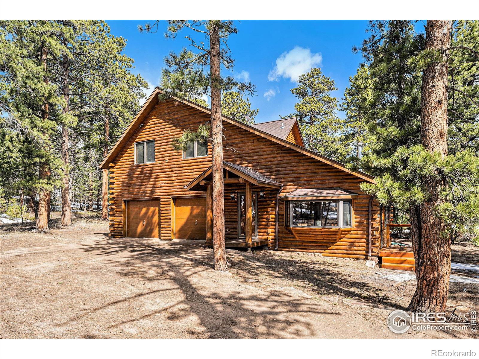 MLS Image #6 for 128  norske trail,allenspark, Colorado