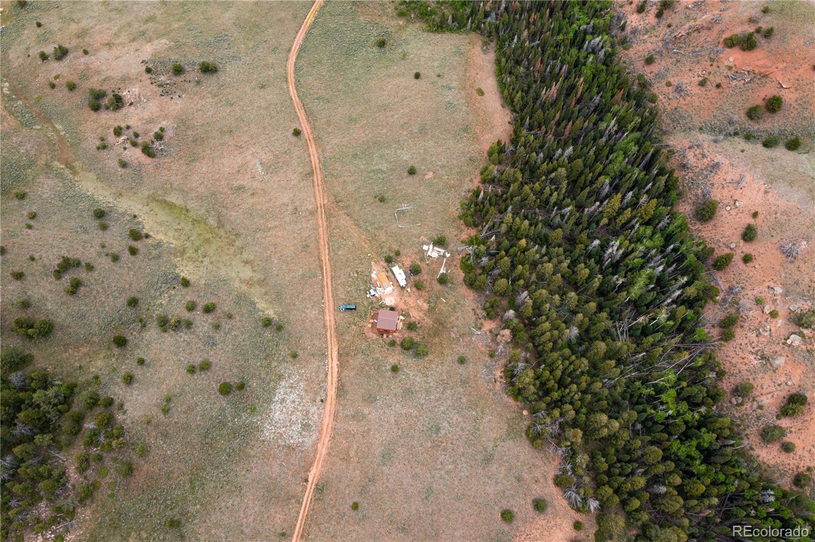 MLS Image #27 for 432  forest way,red feather lakes, Colorado