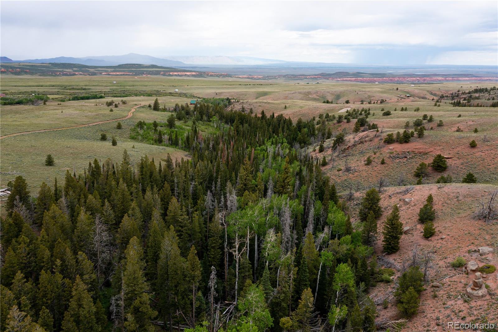 MLS Image #30 for 432  forest way,red feather lakes, Colorado