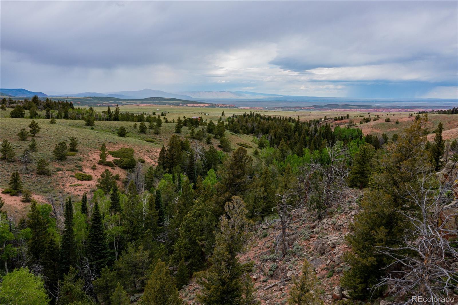 MLS Image #31 for 432  forest way,red feather lakes, Colorado