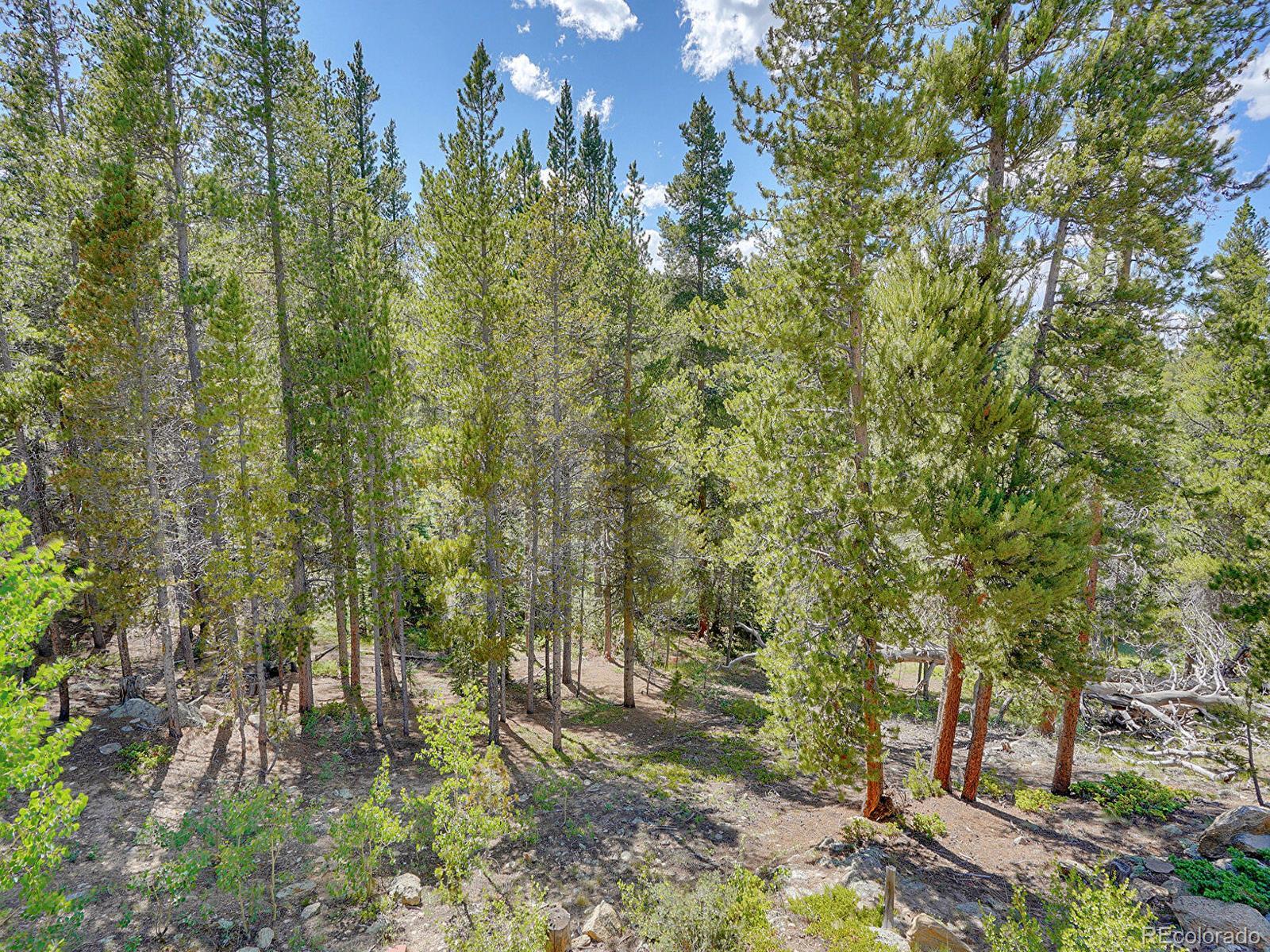 MLS Image #29 for 107  trail dust road,black hawk, Colorado