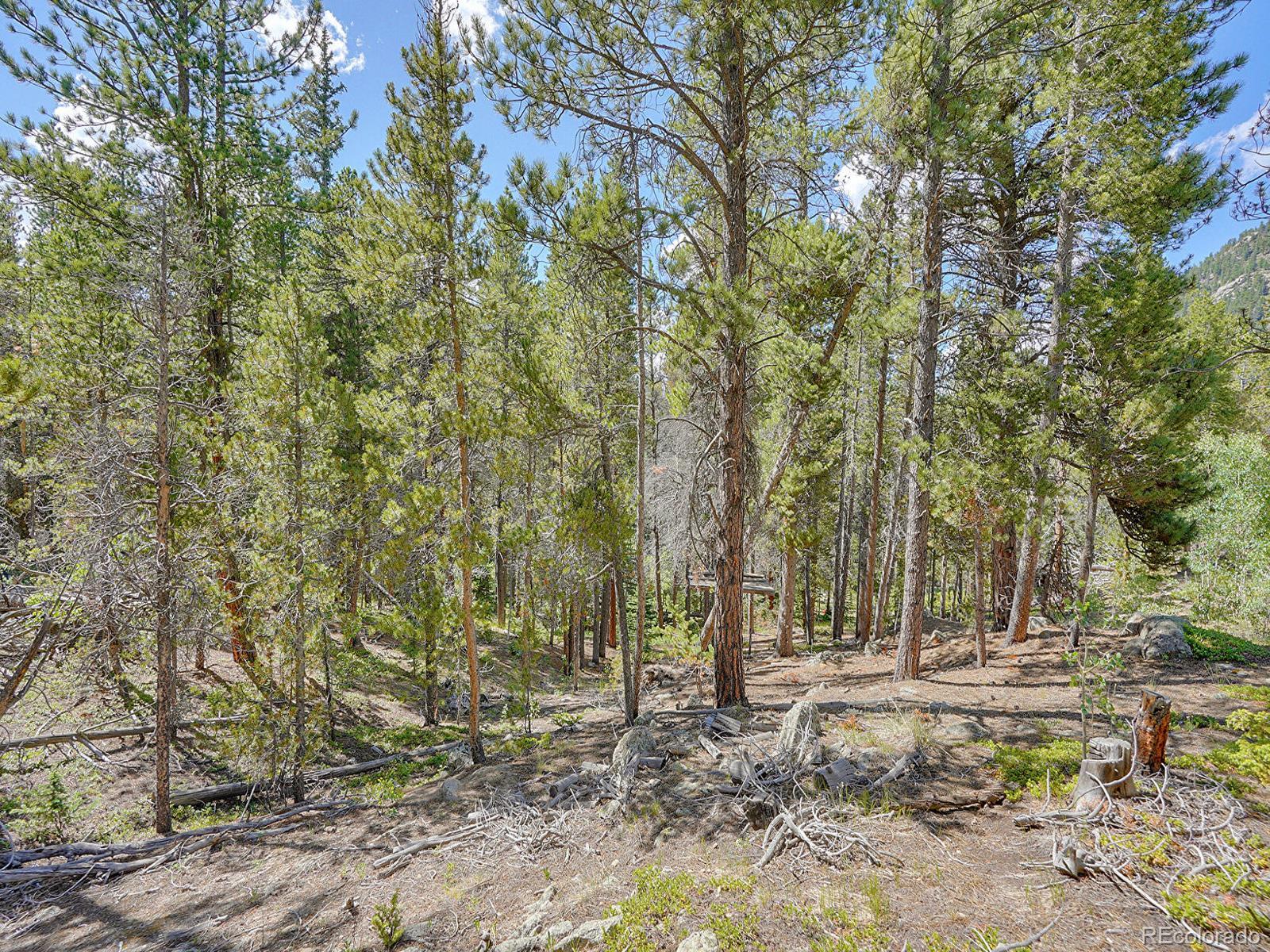 MLS Image #33 for 107  trail dust road,black hawk, Colorado