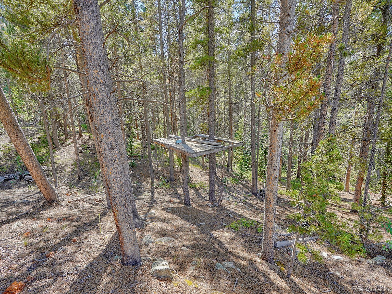 MLS Image #35 for 107  trail dust road,black hawk, Colorado