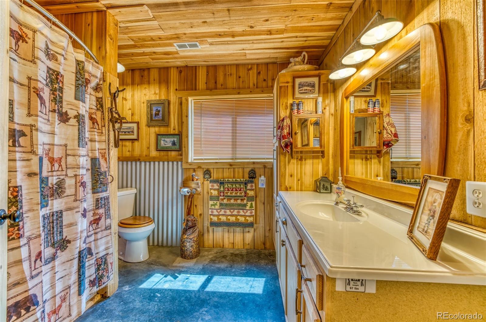 MLS Image #14 for 323  marion lane,cotopaxi, Colorado