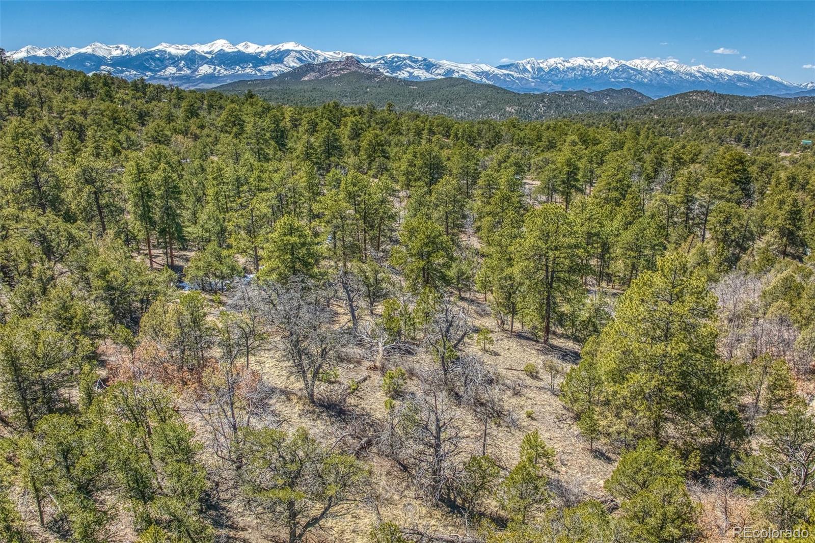 MLS Image #32 for 323  marion lane,cotopaxi, Colorado