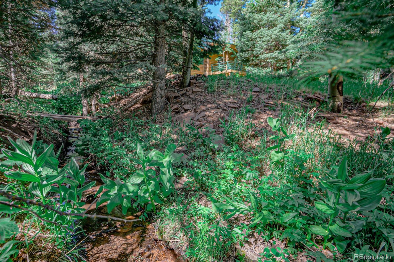 MLS Image #45 for 140  houchin boulevard,la veta, Colorado