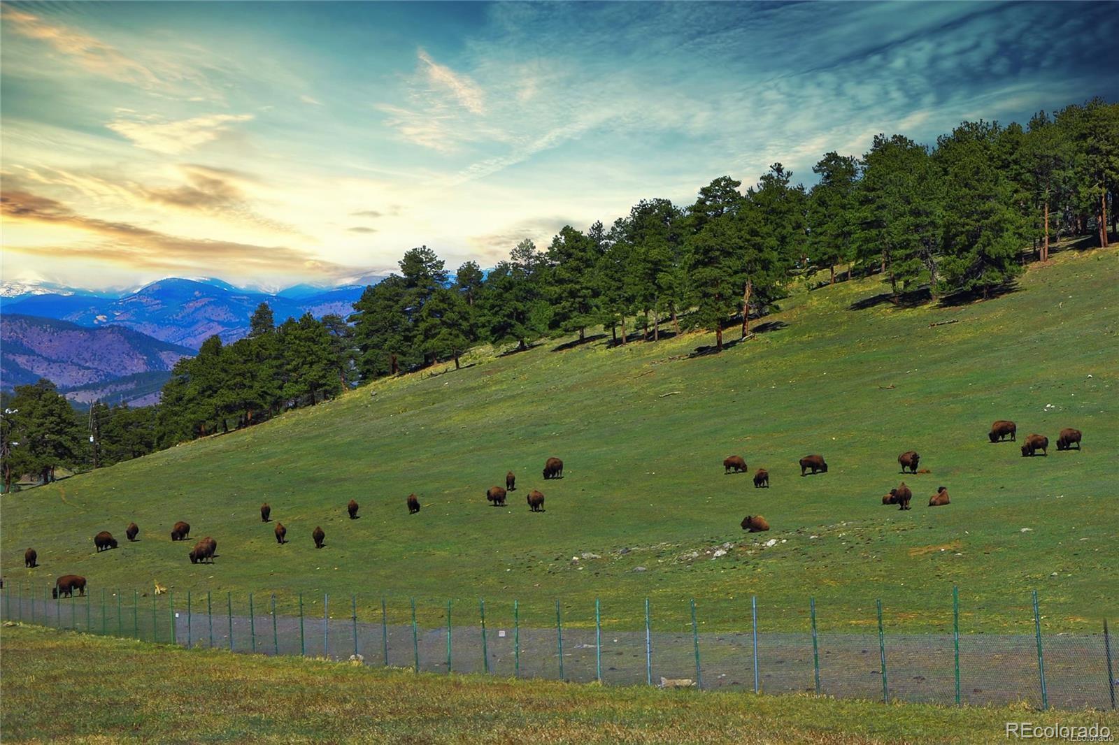 MLS Image #31 for 867  hill and dale road,golden, Colorado