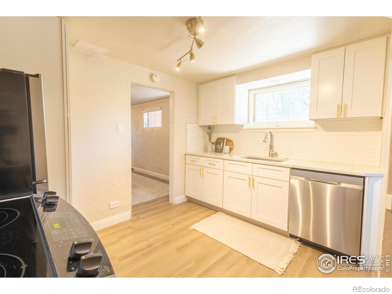 MLS Image #22 for 4501  decatur street,denver, Colorado