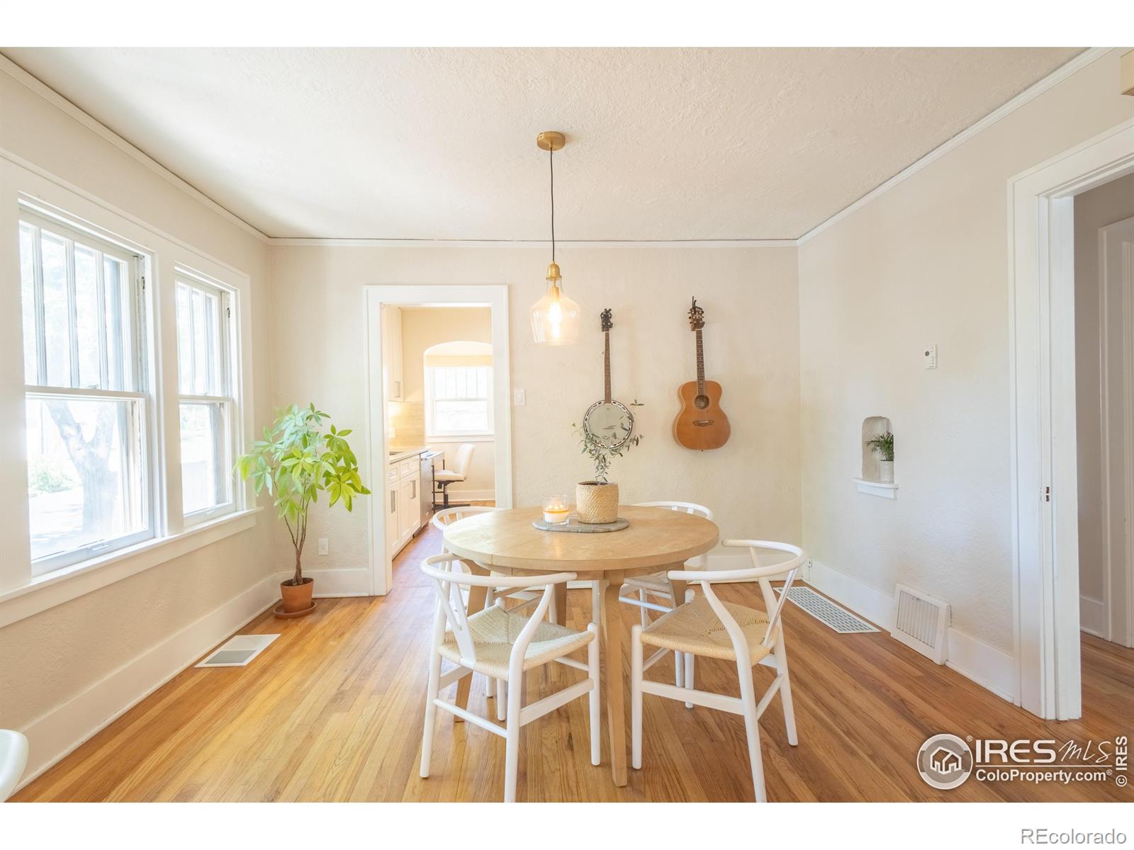 MLS Image #8 for 4501  decatur street,denver, Colorado