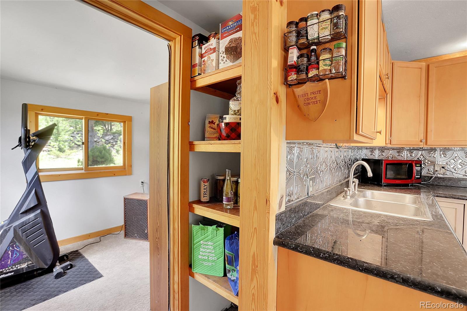 MLS Image #9 for 90  geranium way,black hawk, Colorado