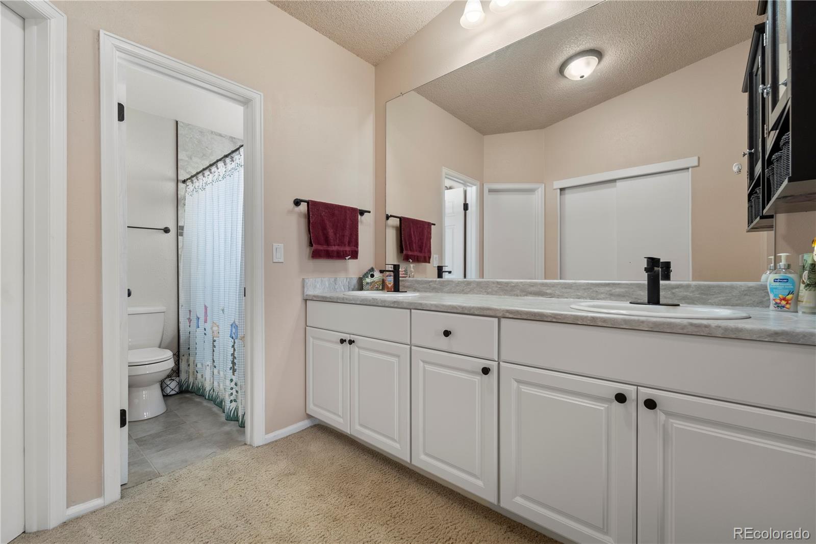 MLS Image #9 for 17993 e linvale drive,aurora, Colorado