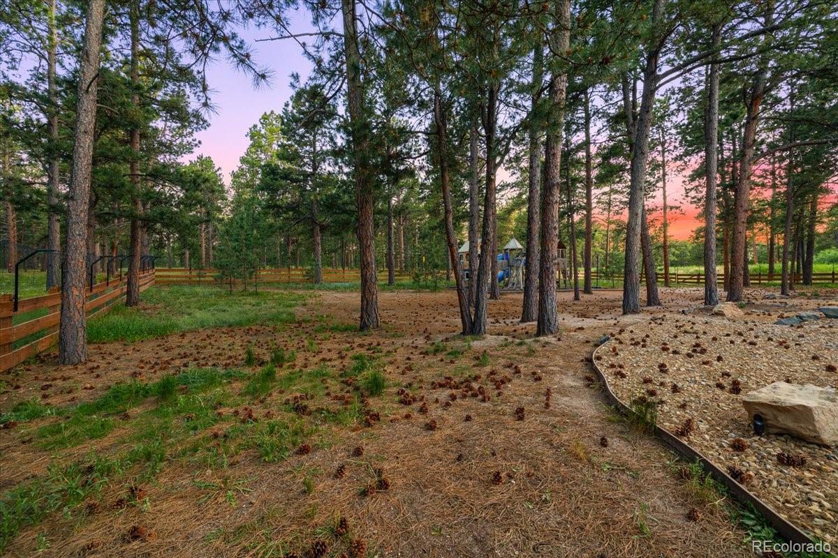 MLS Image #37 for 715  trumpeters court,monument, Colorado