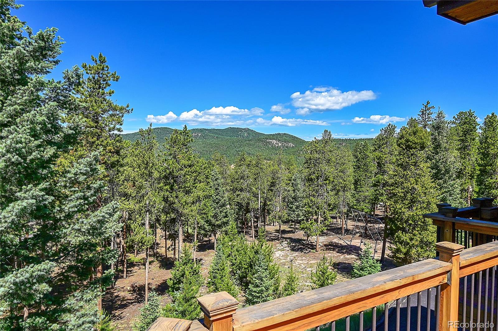 MLS Image #13 for 11626  conifer ridge drive,conifer, Colorado