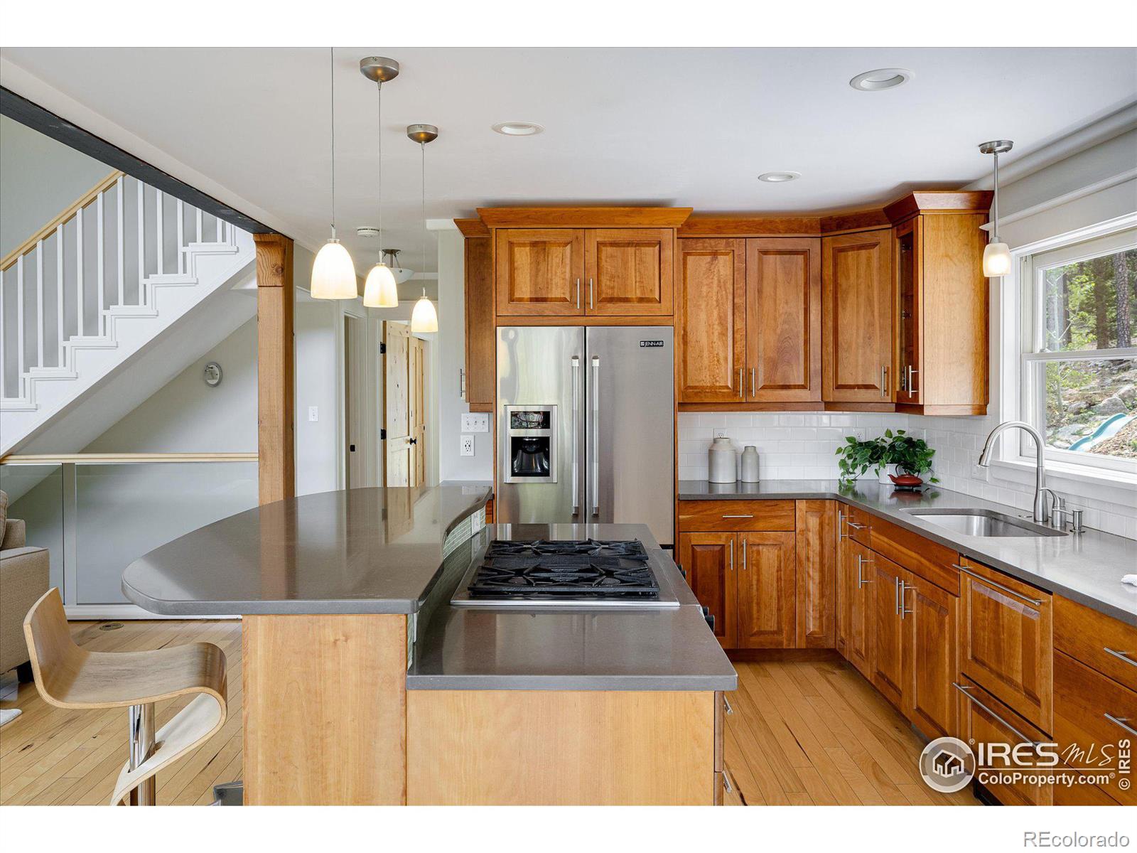 MLS Image #13 for 251  shady hollow,nederland, Colorado