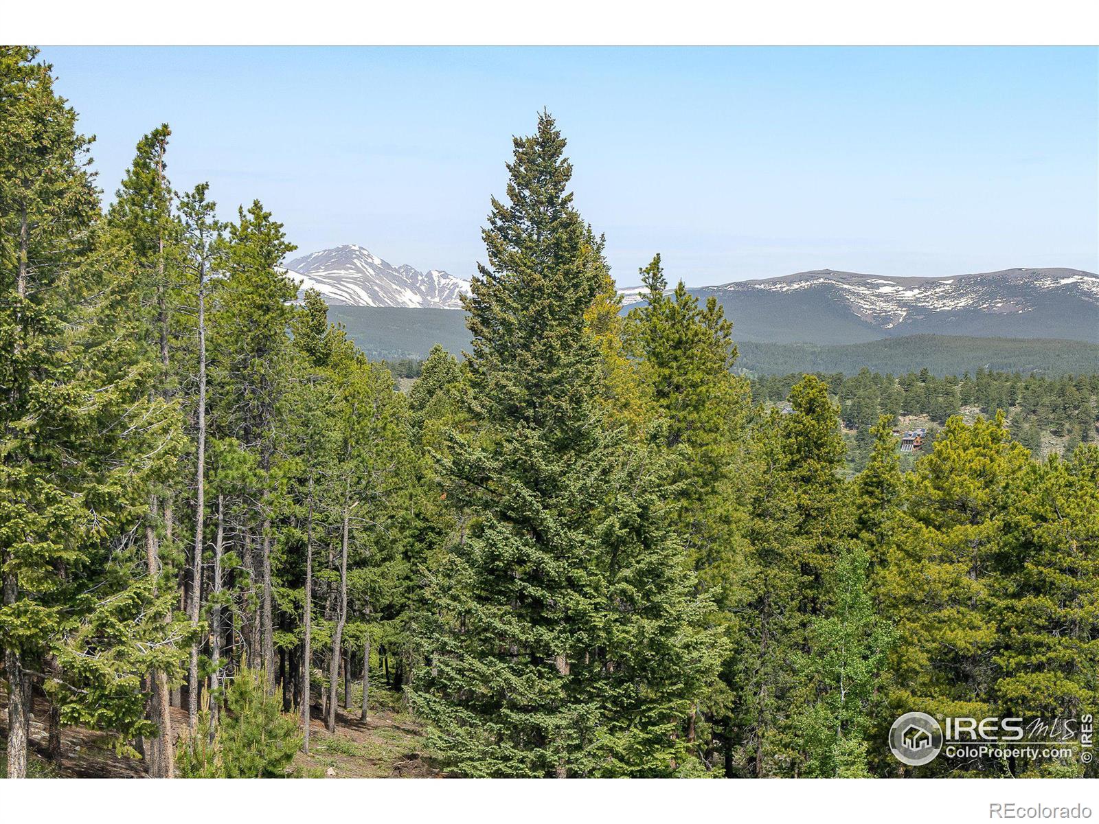 MLS Image #19 for 251  shady hollow,nederland, Colorado