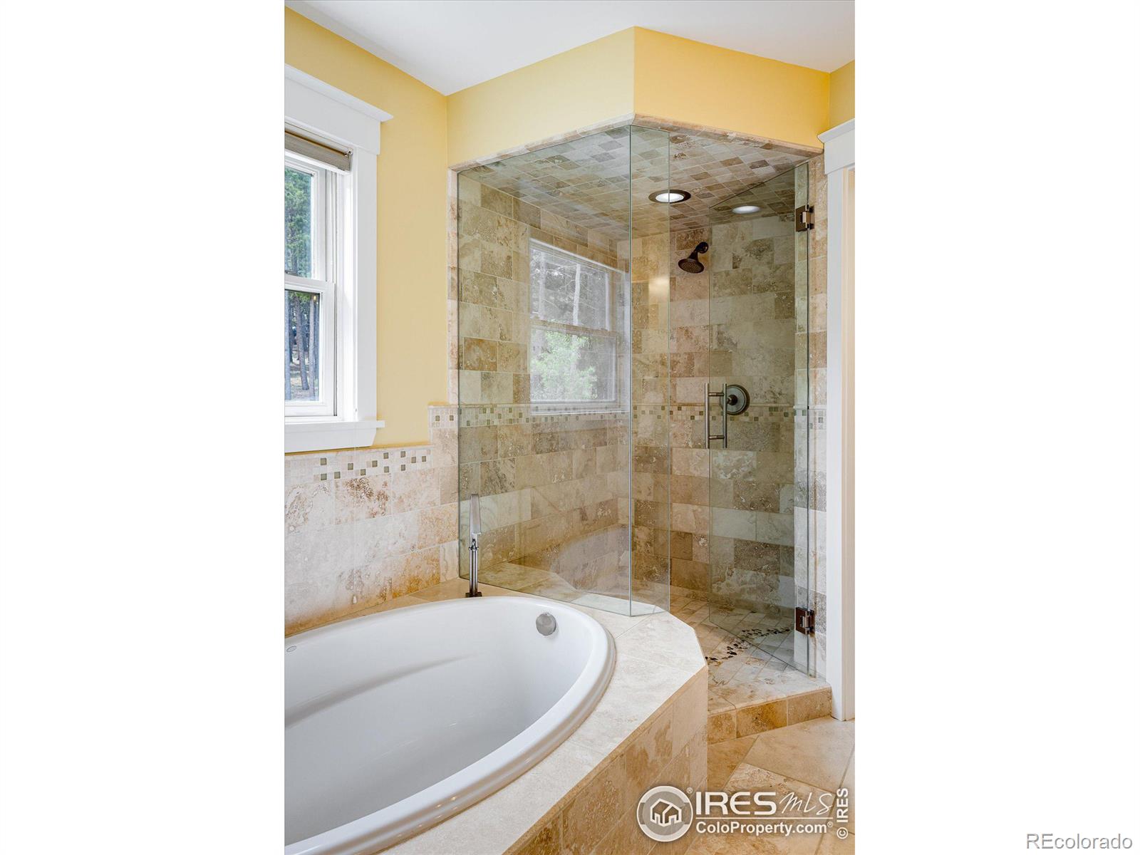 MLS Image #23 for 251  shady hollow,nederland, Colorado