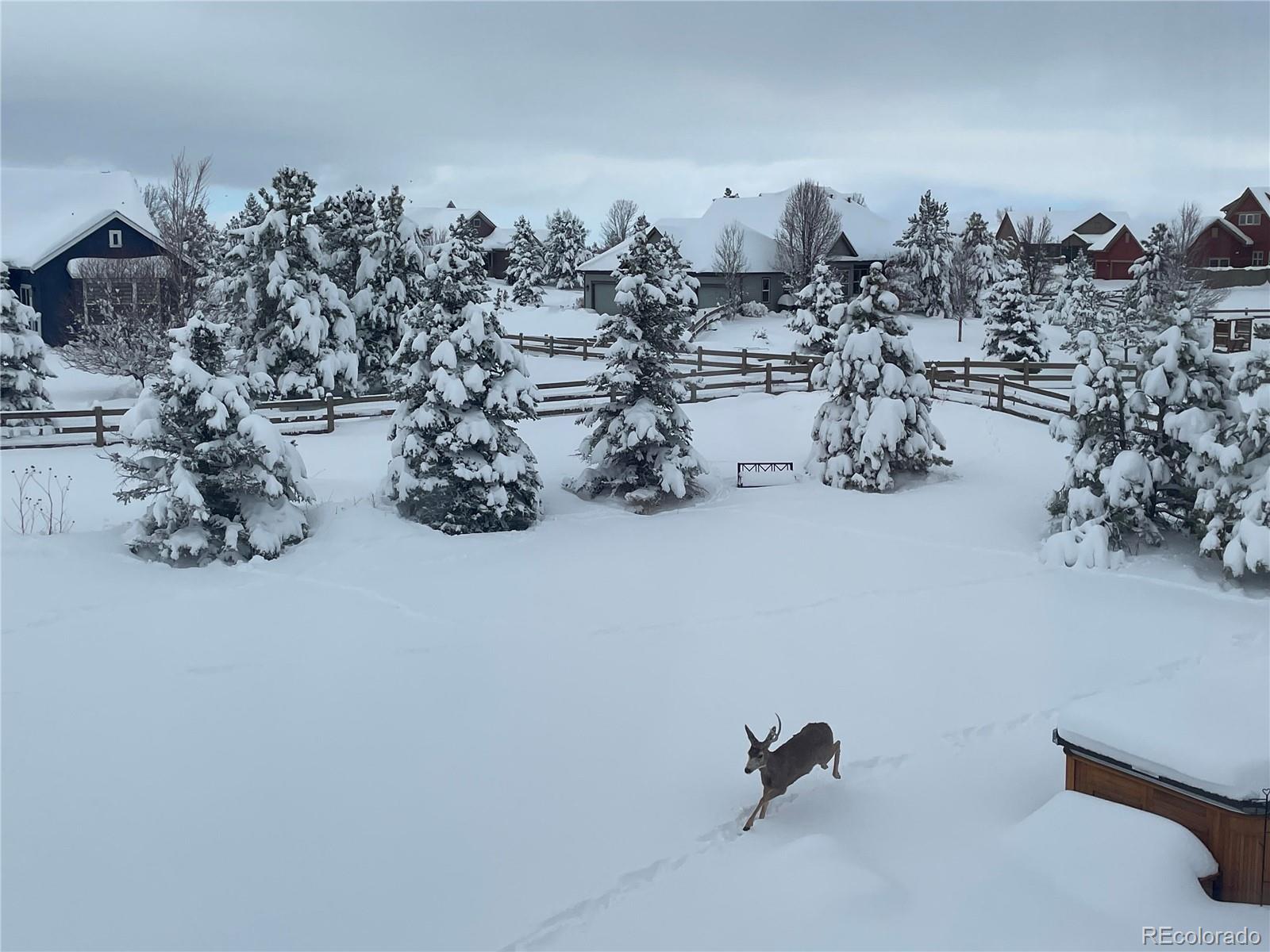 MLS Image #48 for 5419  killen avenue,castle rock, Colorado