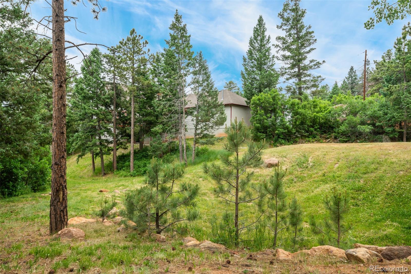 MLS Image #44 for 4735  red forest road,monument, Colorado