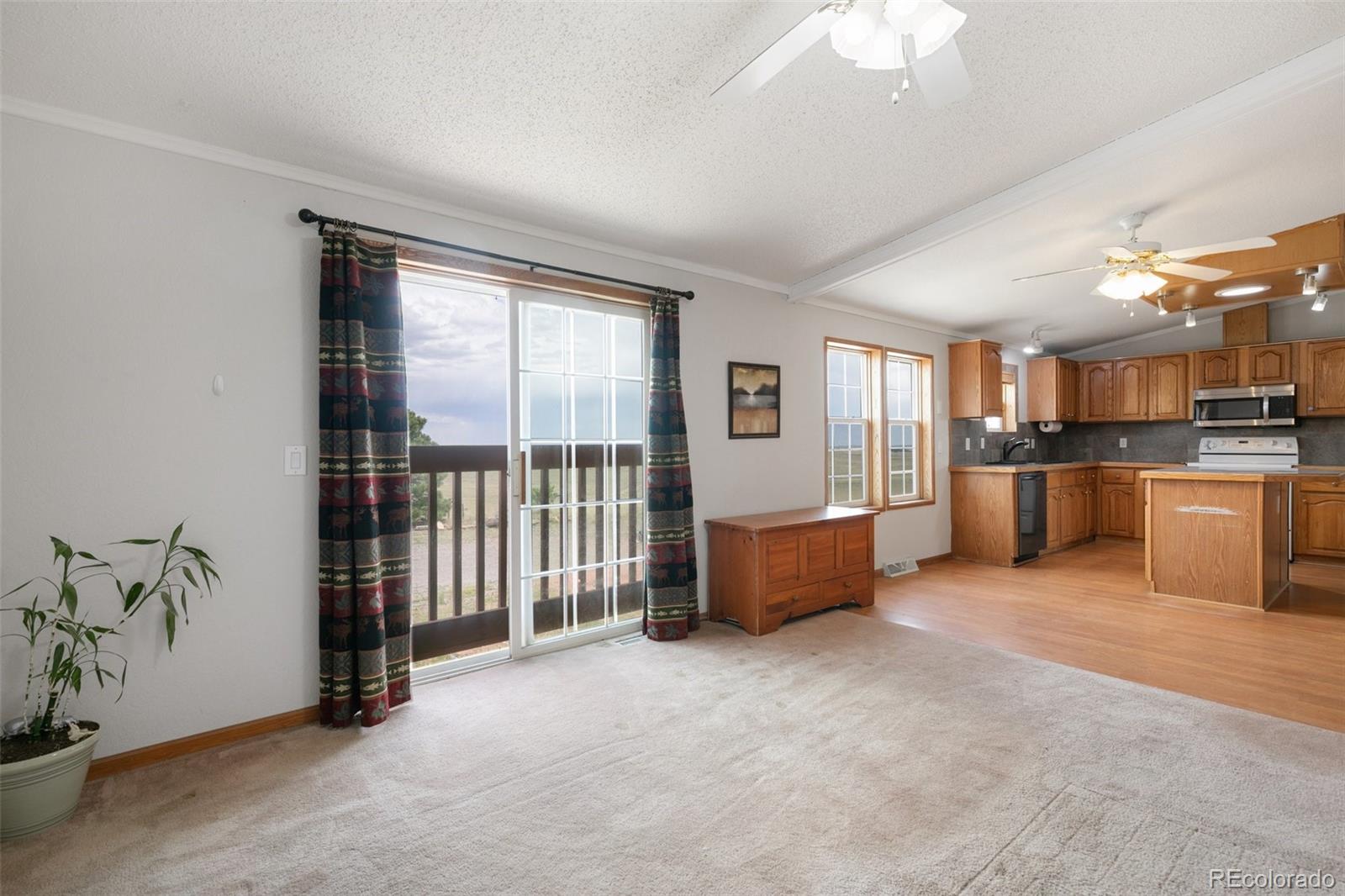 MLS Image #12 for 15130  jorba grove,peyton, Colorado