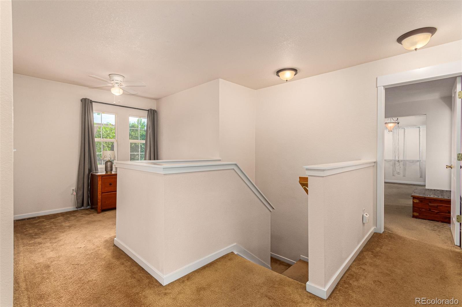 MLS Image #16 for 3733  red deer trail,broomfield, Colorado