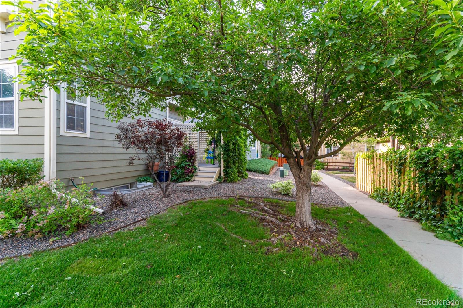 MLS Image #38 for 3733  red deer trail,broomfield, Colorado