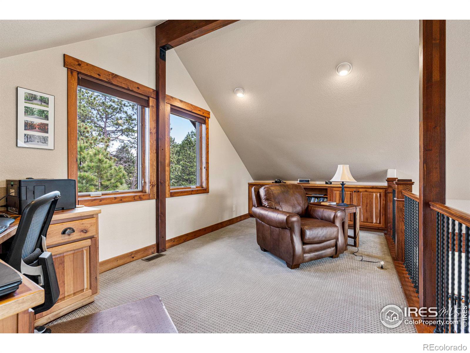 MLS Image #15 for 546  grand estates drive,estes park, Colorado