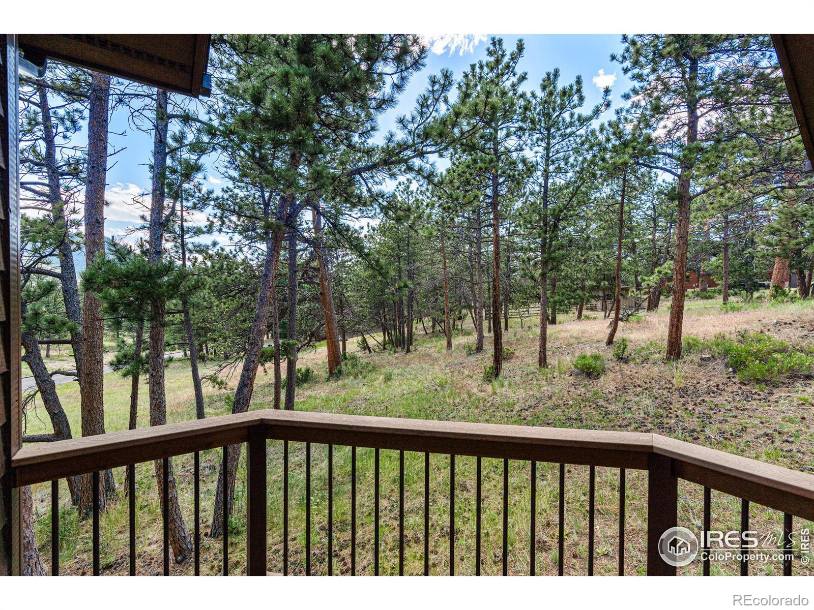 MLS Image #18 for 546  grand estates drive,estes park, Colorado