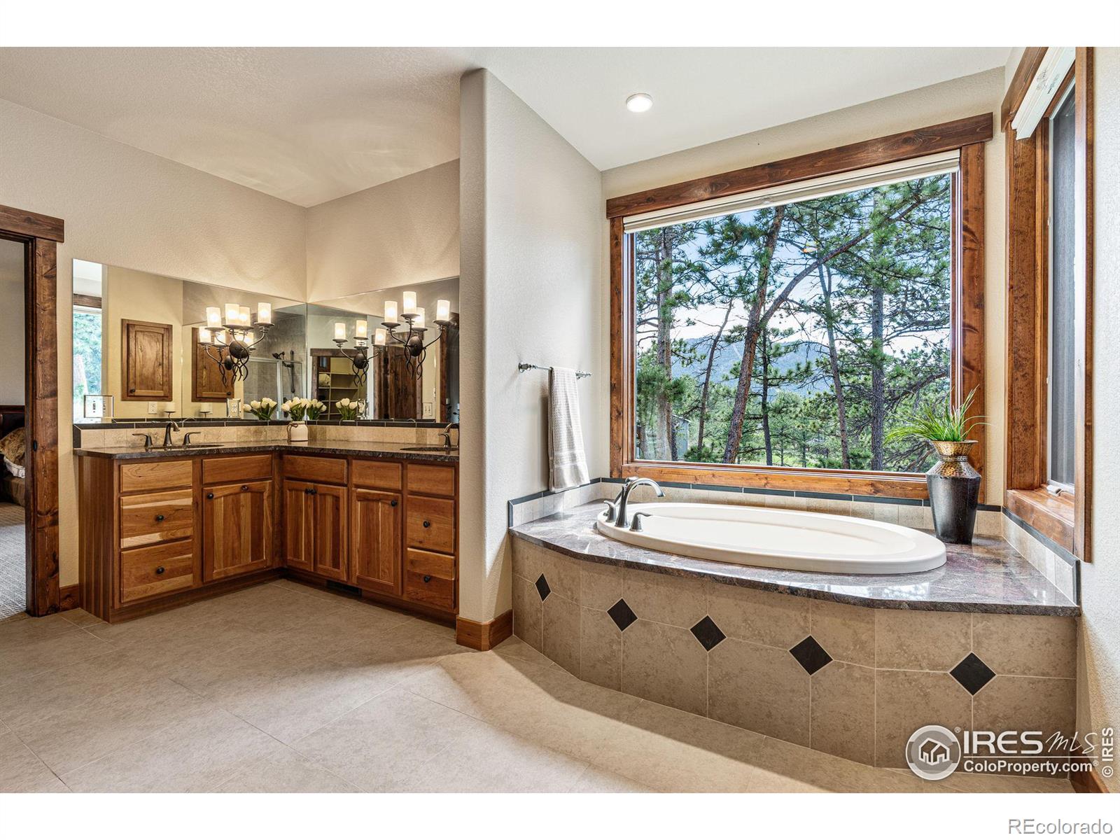 MLS Image #19 for 546  grand estates drive,estes park, Colorado