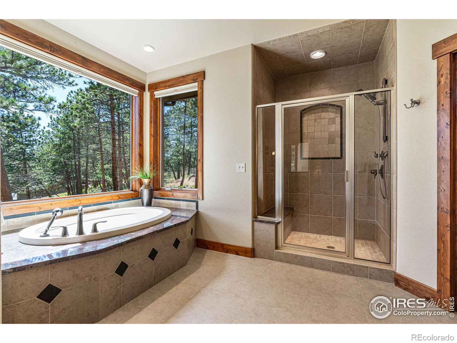 MLS Image #20 for 546  grand estates drive,estes park, Colorado