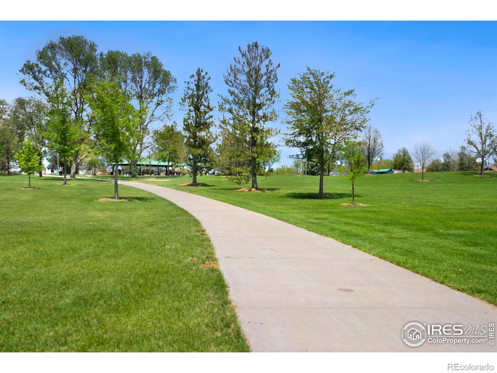 MLS Image #28 for 2221  balsam avenue,greeley, Colorado