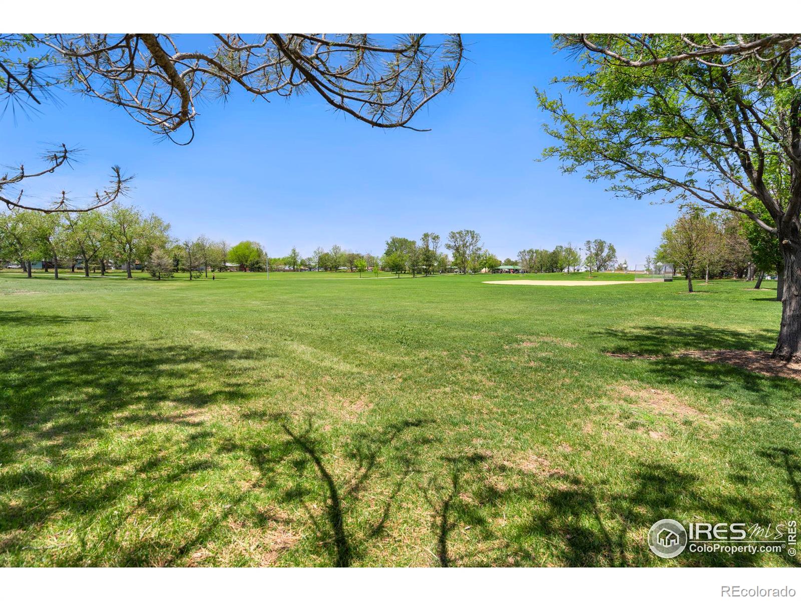 MLS Image #29 for 2221  balsam avenue,greeley, Colorado